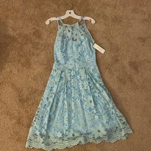 NWT francescas lace dress